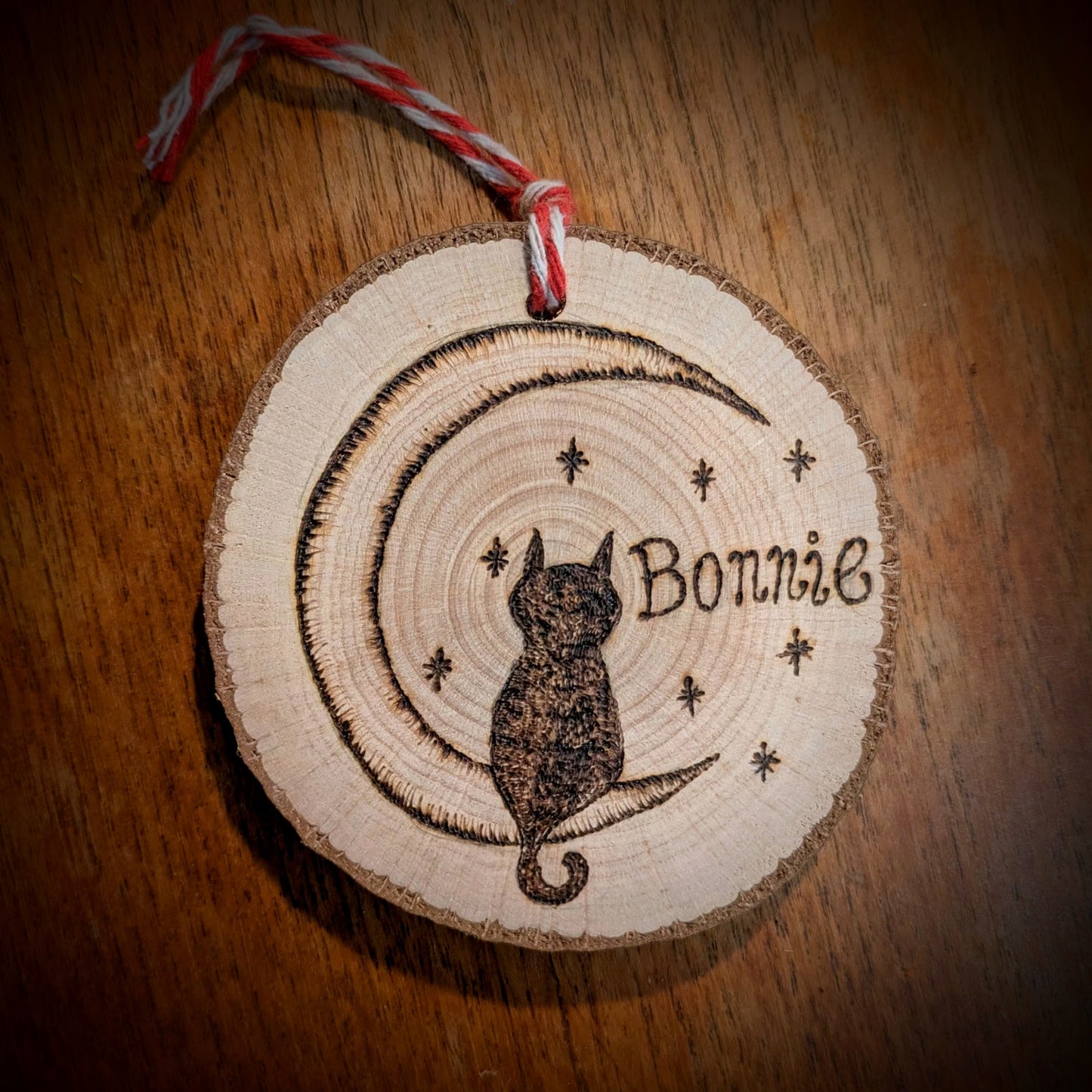 Cat personalised pyrography, woodburning hanger