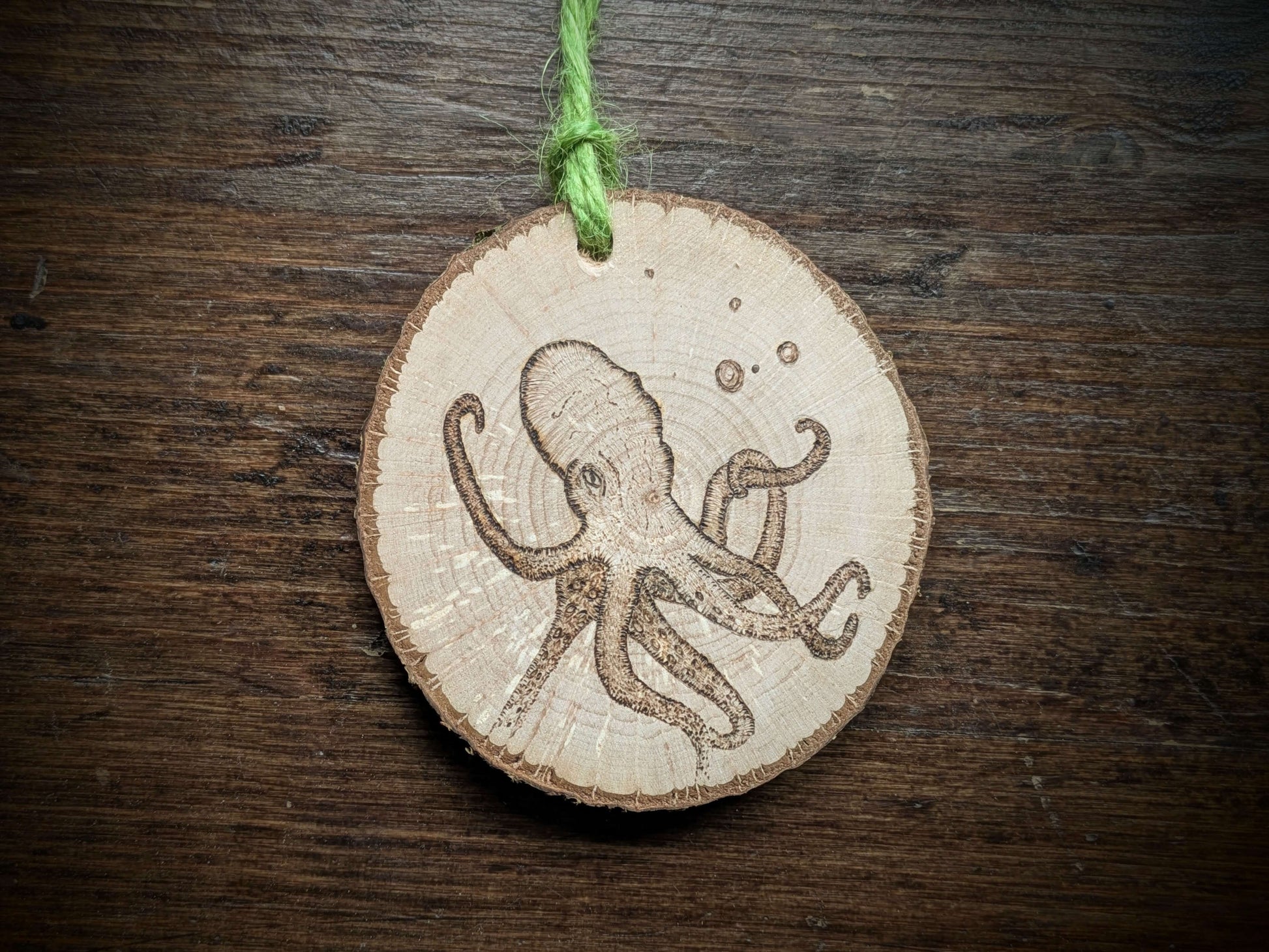 Octopus pyrography/ wood burning on Welsh Hazel 