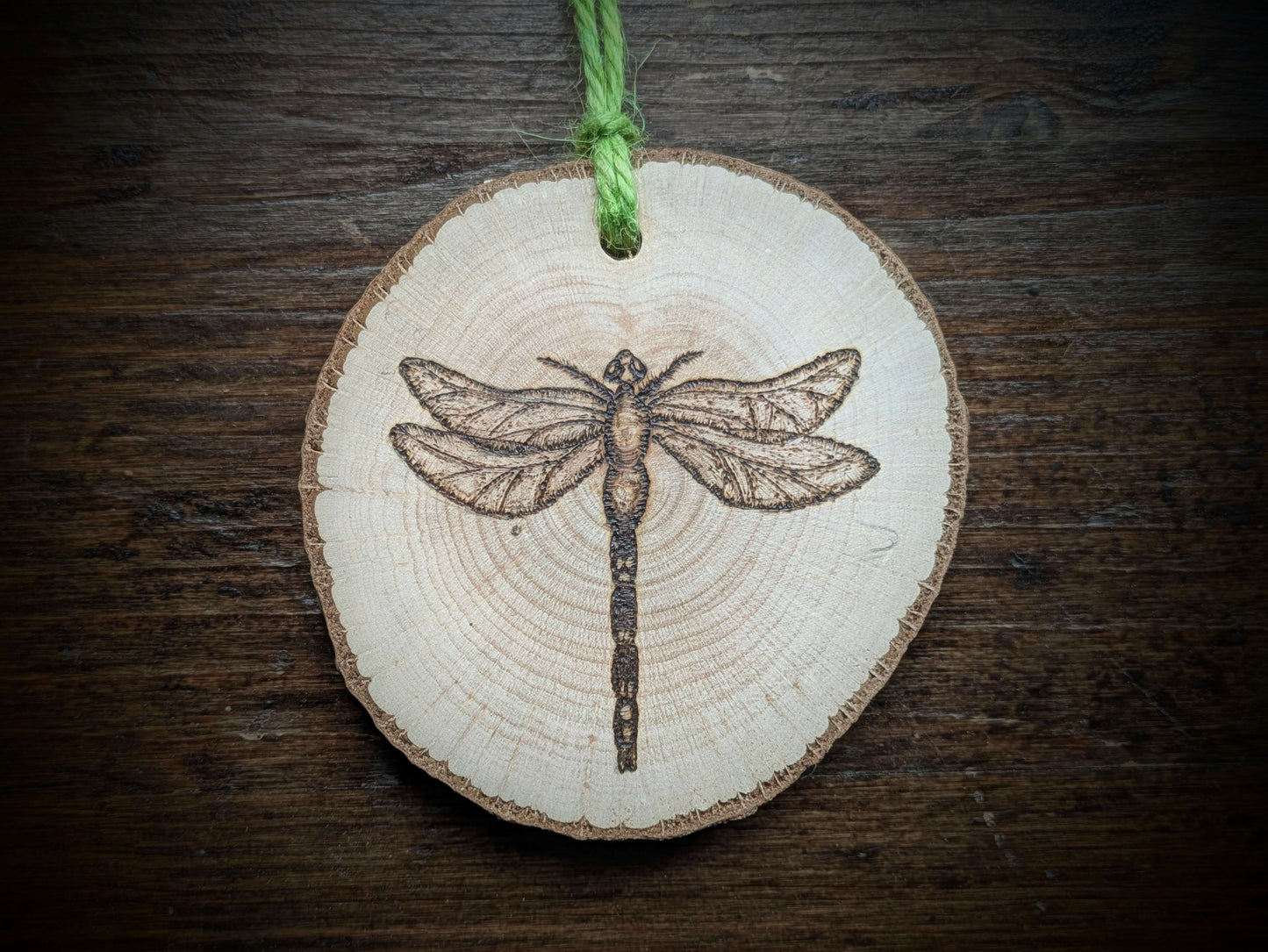 Dragonfly pyrography/ wood burning on Welsh Hazel 