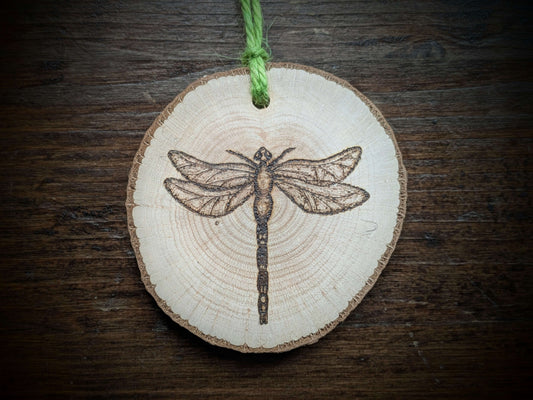Dragonfly pyrography/ wood burning on Welsh Hazel 