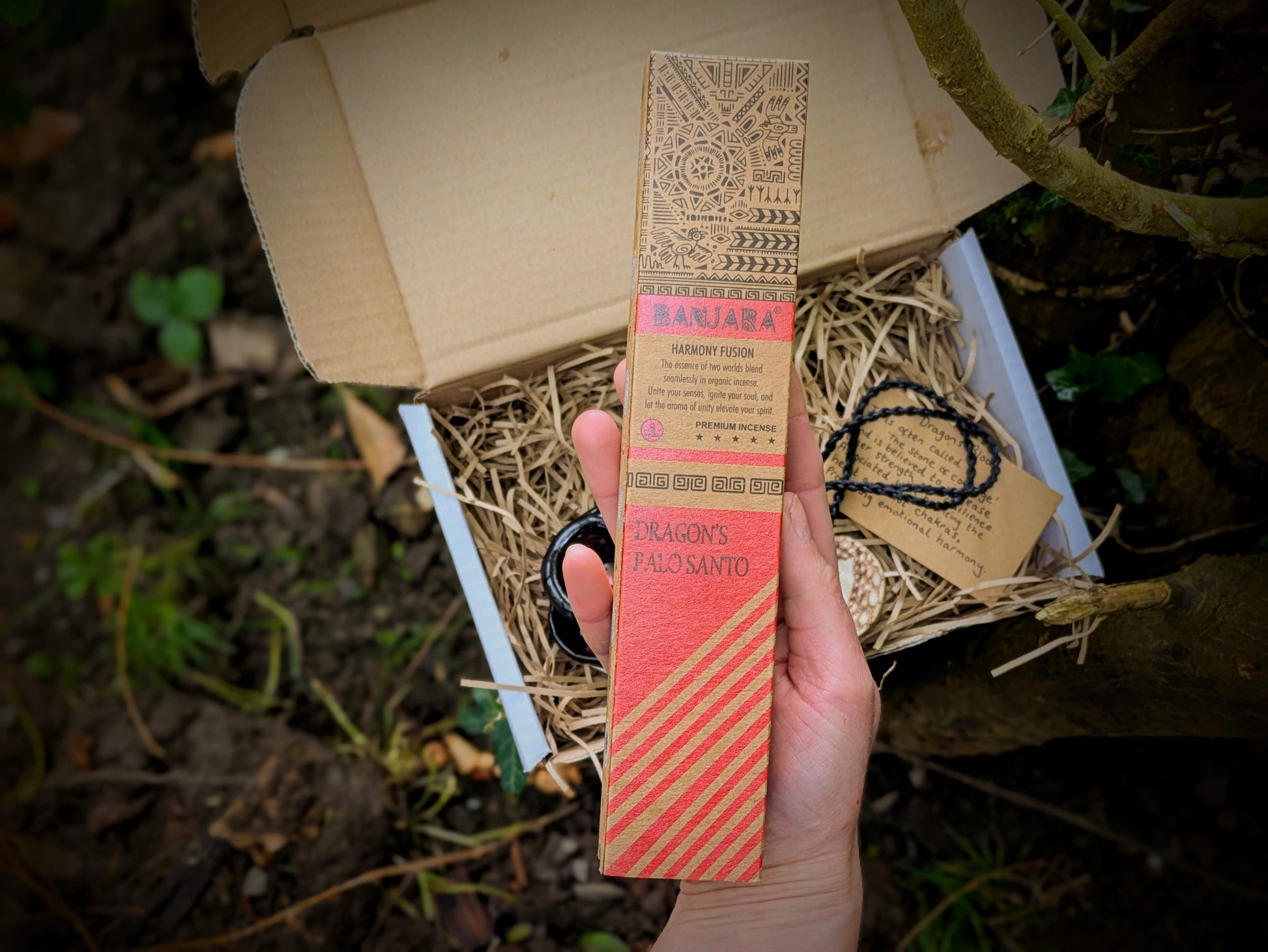 A spiritual wellness item featuring Dragon’s Blood-themed grounding set with crystal-inspired imagery, incense, and ritual accessories in a warm, earthy aesthetic.